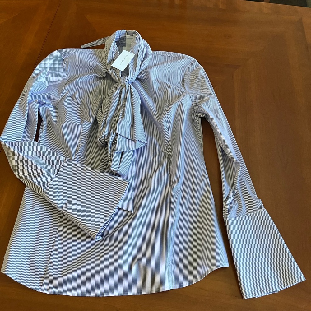 Banana Republic Blue Striped Blouse with back zipper. NWT sz 8